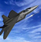 im-f22.gif - 13.4 K