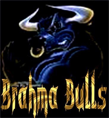 Ravens Assault: Brahma Bulls